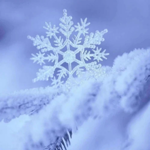 欧美男男自慰虐茎:睾丸
