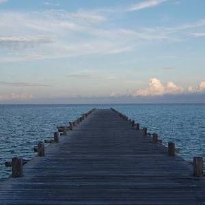 欧美男男自慰虐茎:睾丸
